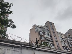 -逸仙华庭