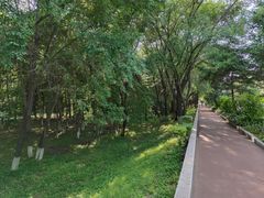 -黑龙江公园