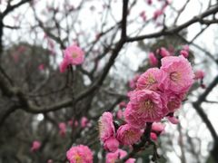 -无锡梅园公园