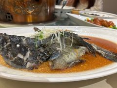 -聚春园自助餐厅(东街口店)