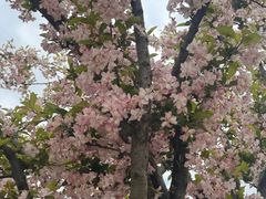 -洨河生态公园