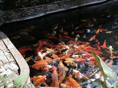 -新灿记大酒楼
