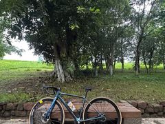 -白鹭湾湿地公园