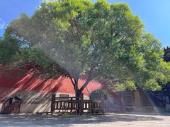 -五台山风景名胜区-罗睺寺
