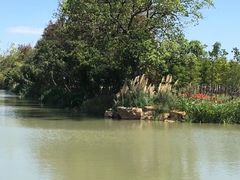 景点-上海长兴岛郊野公园