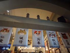 -猫咪博物馆(顶澳仔猫街店)