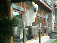 android_upload_pic-那家小馆•北京菜•烤鸭(香山店)
