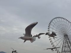 -蠡湖大桥公园