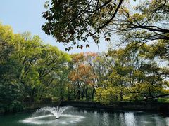 -普陀山风景名胜区-法雨禅寺