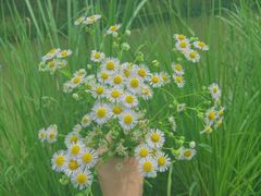 -白鹭湾湿地公园