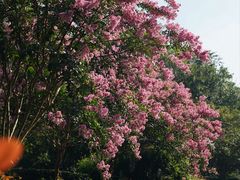 -杭州城北体育公园