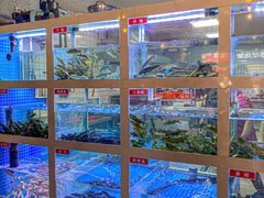 -石锅苗苗鱼(武汉首店)