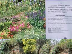 -深圳仙湖植物园