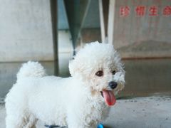 -绿堤公园