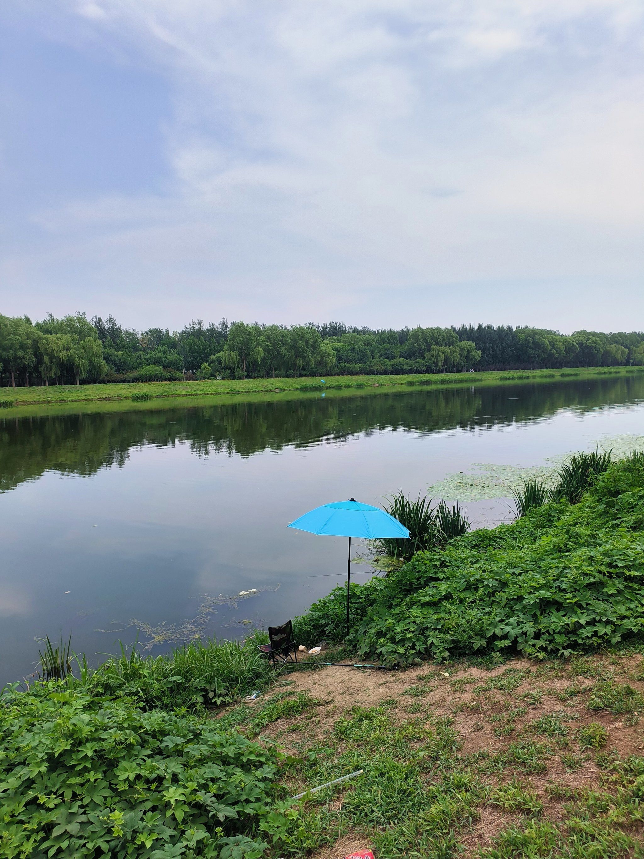 温榆河两岸,让北京夏天的幸福感具象化了7815