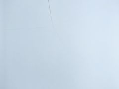 -春花秋色城市公园