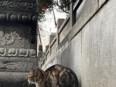 -宝通禅寺