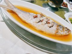 酒糟鲥鱼-光明邨大酒家(淮海路店)