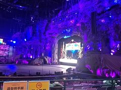 -广州长隆国际大马戏