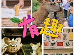 -普洱太阳河森林公园
