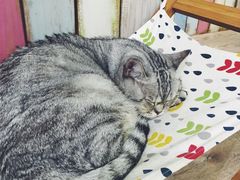 -小时光咖啡馆(开森度假森林店)