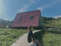 -关山草原