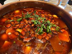 老成都毛血旺-将军府·鸡毛店(武侯祠店)
