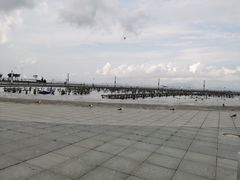 -东港音乐喷泉广场