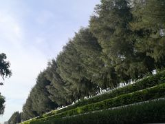 -宝安西湾红树林湿地公园