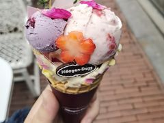 -哈根达斯(武汉天地店)