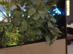 -辛香汇·现炒川菜(城北万象城店)