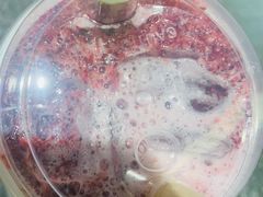 -奈雪的茶(天河城店)