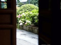 -虎哥私房菜(馒头山店)