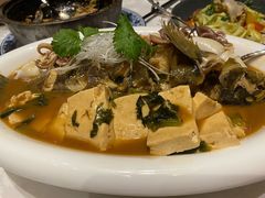 -臻宝中餐厅·大连菜·海鲜·融合菜(大连一方城堡豪华精选酒店)