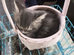 -鼓楼夜市