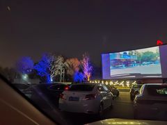 -枫花园汽车电影院(朝阳公园店)