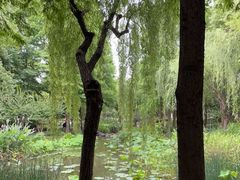 -陈家山荷花公园