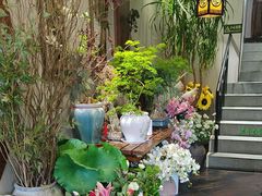 -山海经·海边人家 海鲜新青岛菜(扬州路店)