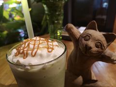 -No Cat 手碟