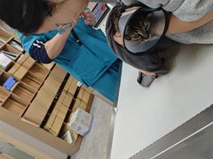 -瑞鹏宠物医院·骨外科·心肾科·肿瘤科(九亭店)