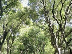 -燕晗山郊野公园