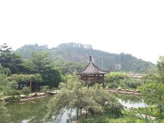IMG_6393-广州神农草堂中医药博物馆