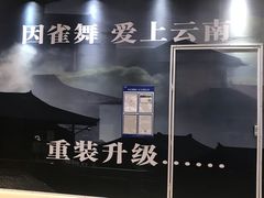 -雀舞云南菜(天津天河城购物中心店)