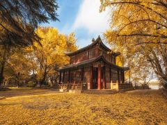 -灵谷景区