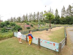 -前小桔亲子创意农场·草莓采摘·露营烧烤