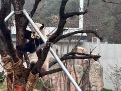 -无锡动物园·太湖欢乐园