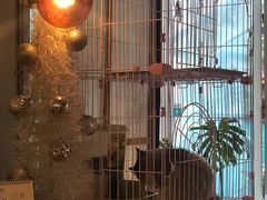 -灯塔咖啡馆BOOK·Coffee Shop