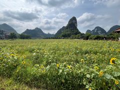 -靖西鹅泉风景区