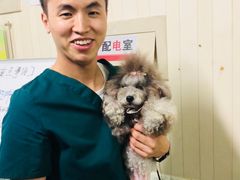 -宠颐生中康贝怡动物医院