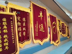 -贝利宠物医院·骨科·眼科·肿瘤转诊中心(南坪诊疗中心)